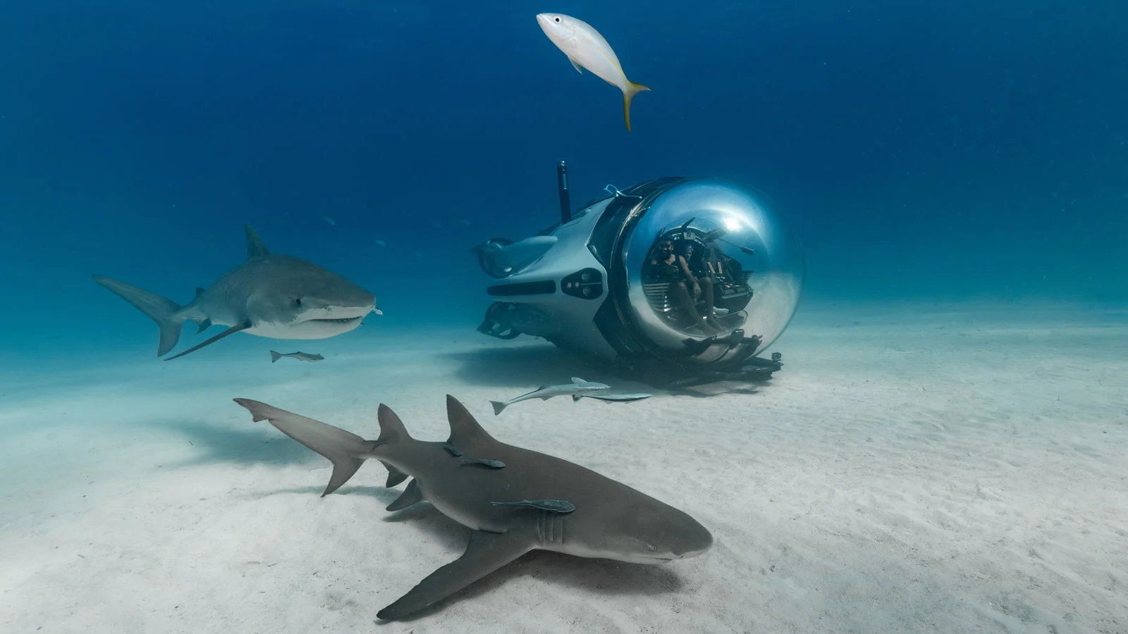 U-Boat Worx Super Sub – одна из самых быстрых частных подводных лодок