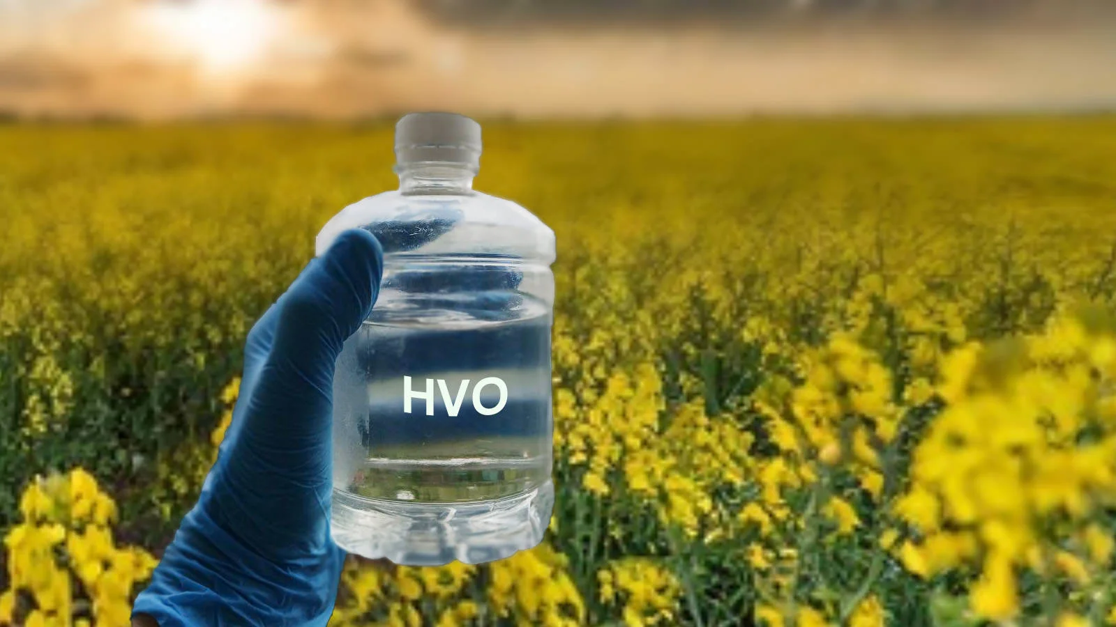 Hydrotreated vegetable oil or renewable diodiesel are two terms used to describe second-generation biofuels.  The use of HVO can reduce CO2 emissions by 65-90%