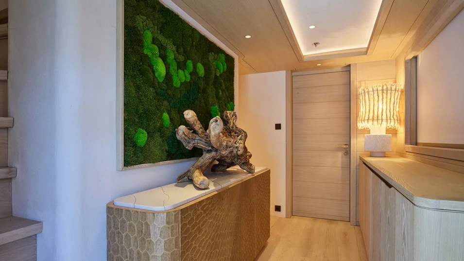 A &ldquo;living wall&rdquo; made from preserved moss on board the СdM Nasiba