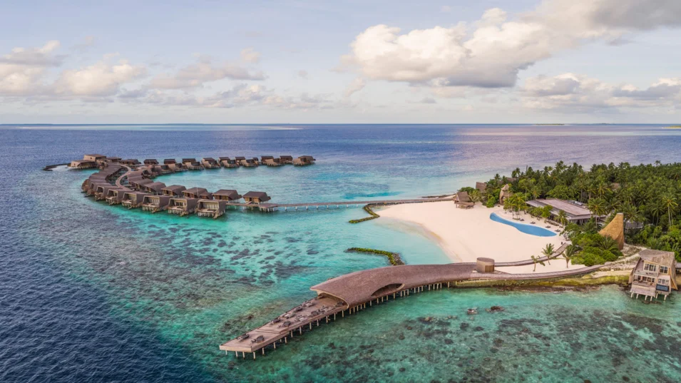 Whale Bar в форме китовой акулы на St. Regis Maldives Vommuli Resort