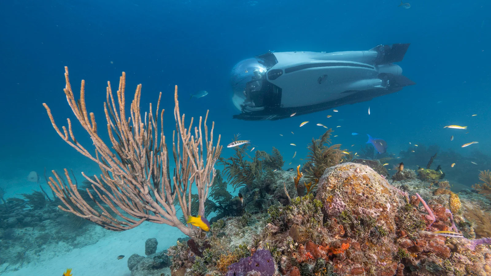 U-Boat Worx Super Sub способна погружаться на глубину до 300 м